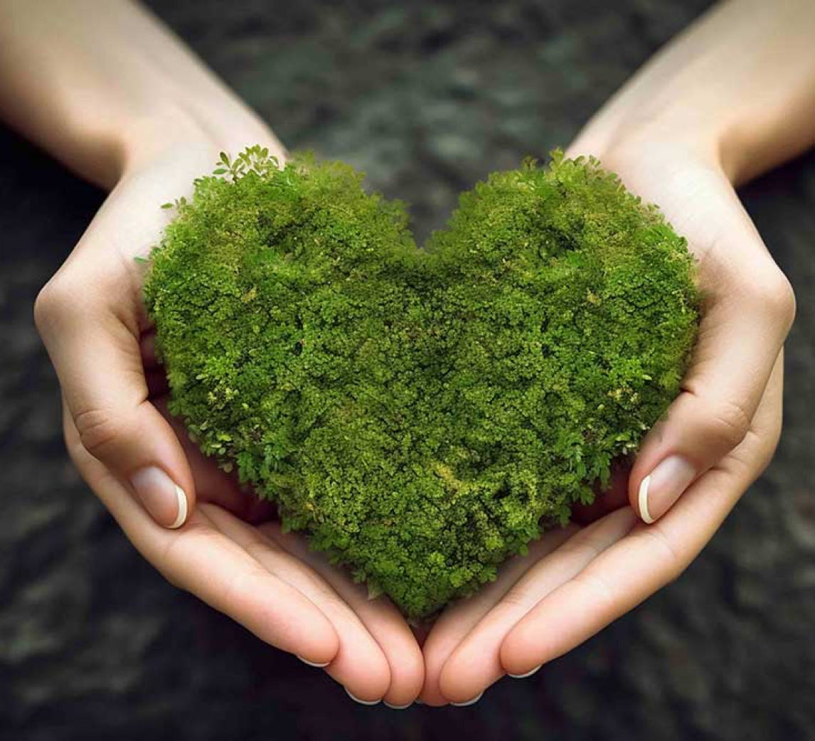 Nature Heart